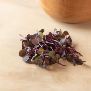 Microgreens - Radish, 2oz