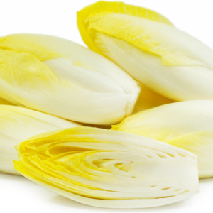 Endive - Belgian, 1#