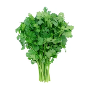 Cilantro - Organic, 1 ct