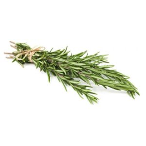 Herb - Rosemary, .75 oz