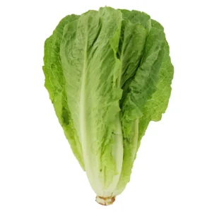 Romaine Head, 1 ct