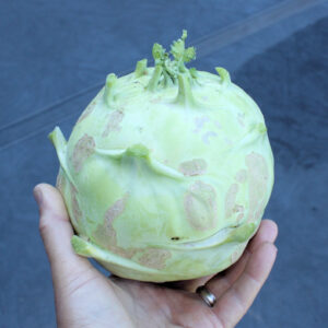 Kohlrabi, 1 ct