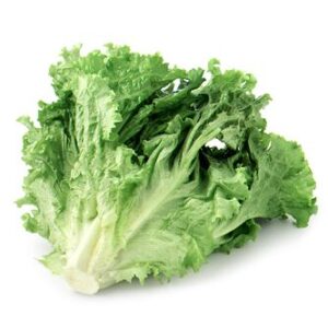 Lettuce -Butter Head, 1 ct