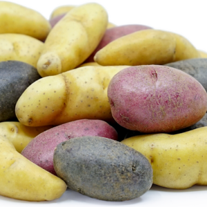 Potato- Mixed Fingerling, 1#