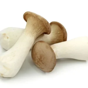 Mushroom - King Trumpets, 4 oz