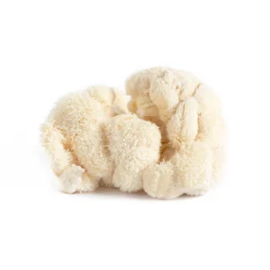 Mushroom - Lion's Mane, 4 oz