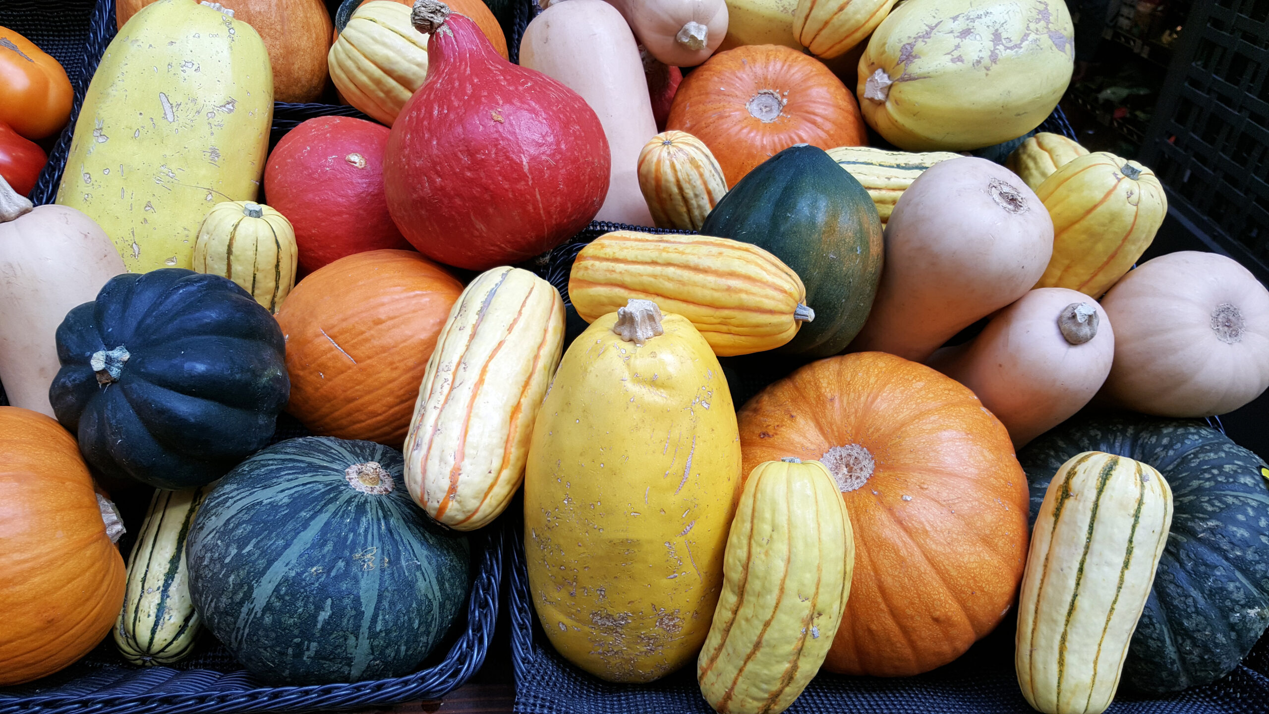 Squash Box - 1/2 Bushel