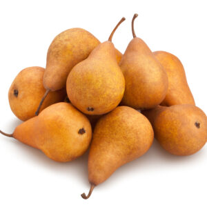Pear - Bosc 2#